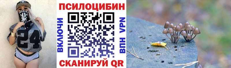 Псилоцибиновые грибы мицелий ОМГ ОМГ tor Новопавловск купить наркоту